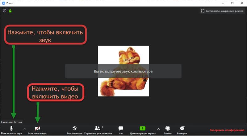 Как включить звук и видео в Zoom