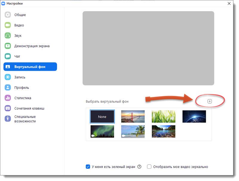 Настройка виртуального фона в Zoom